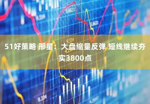 51好策略 邢星：大盘缩量反弹 短线继续夯实3800点